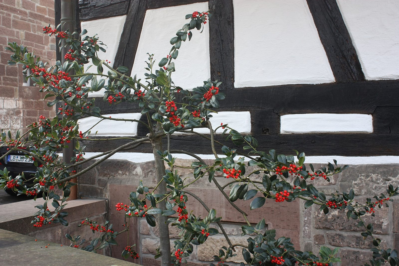 Klostercafe photo 2