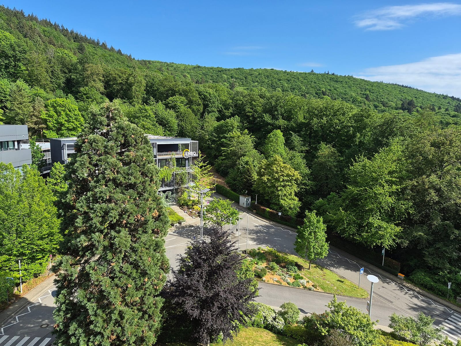 EMBL Cafeteria photo 4