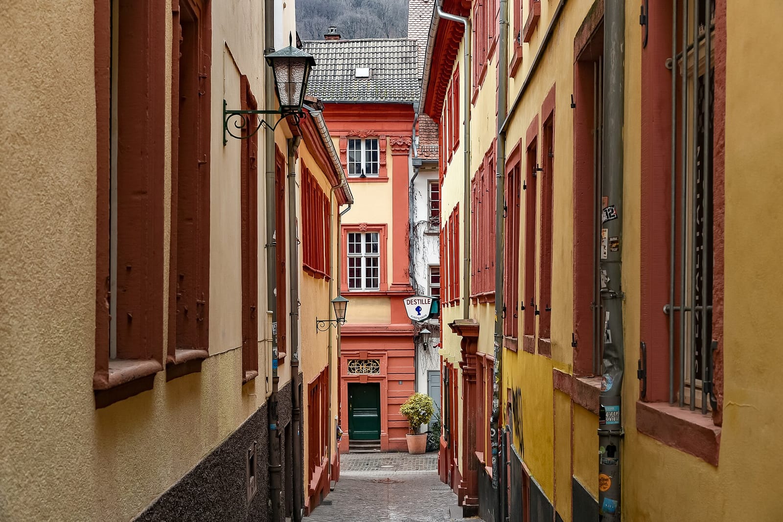 Schafheutle photo 3