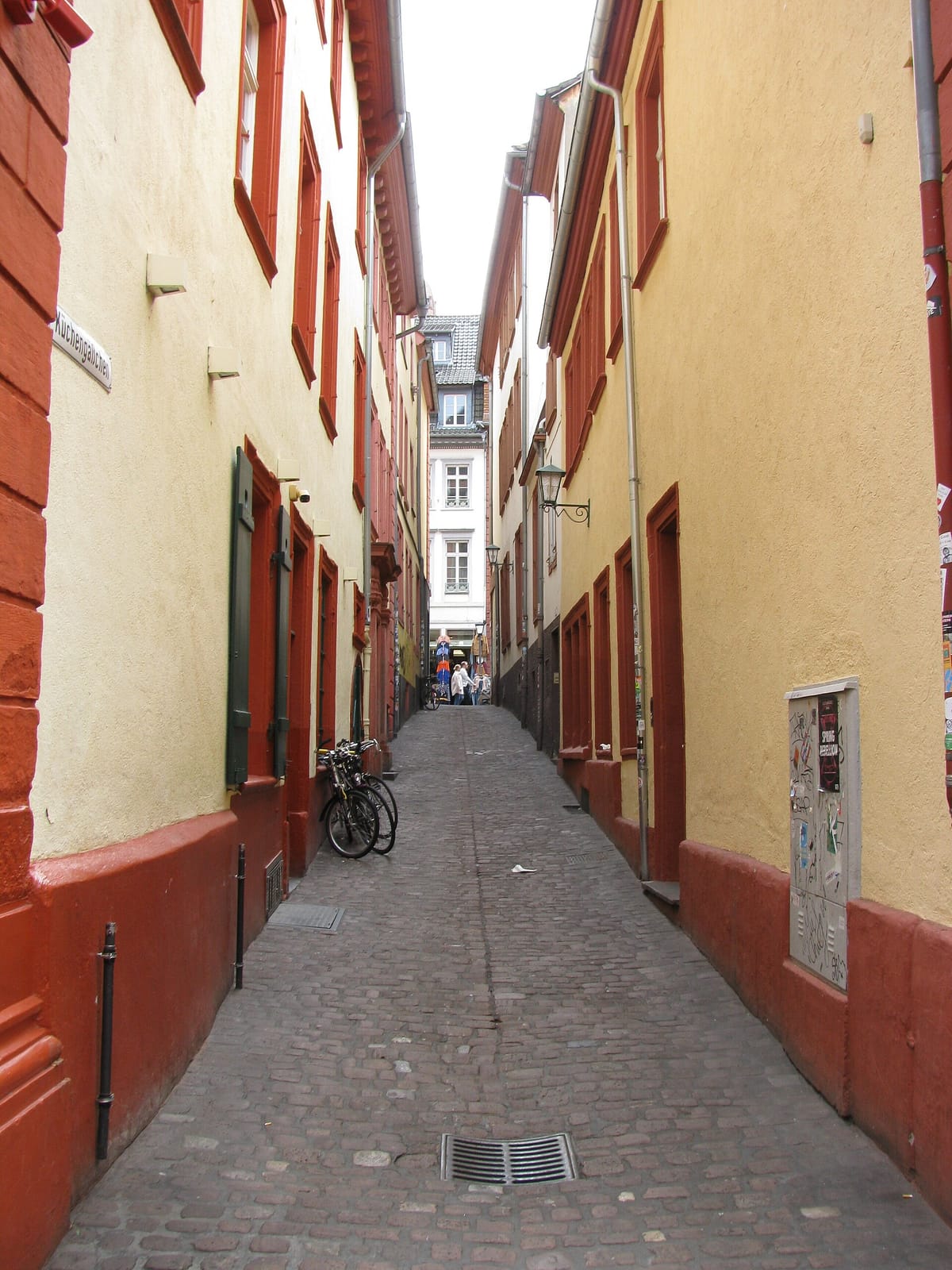 Rada photo 3