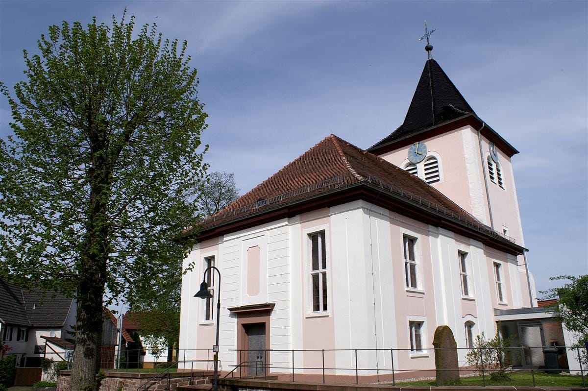 Ecki's Naturkostladen photo 2