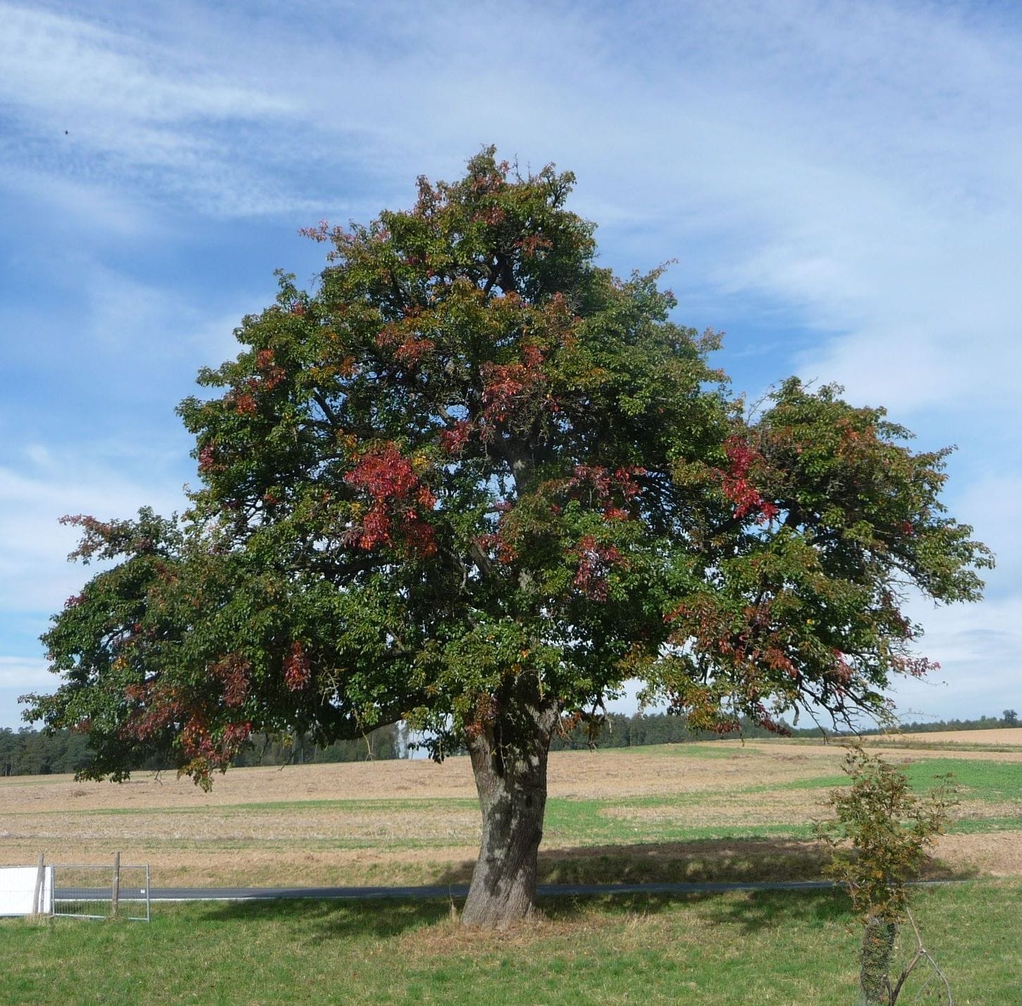 Landgut Marienhöhe photo 3