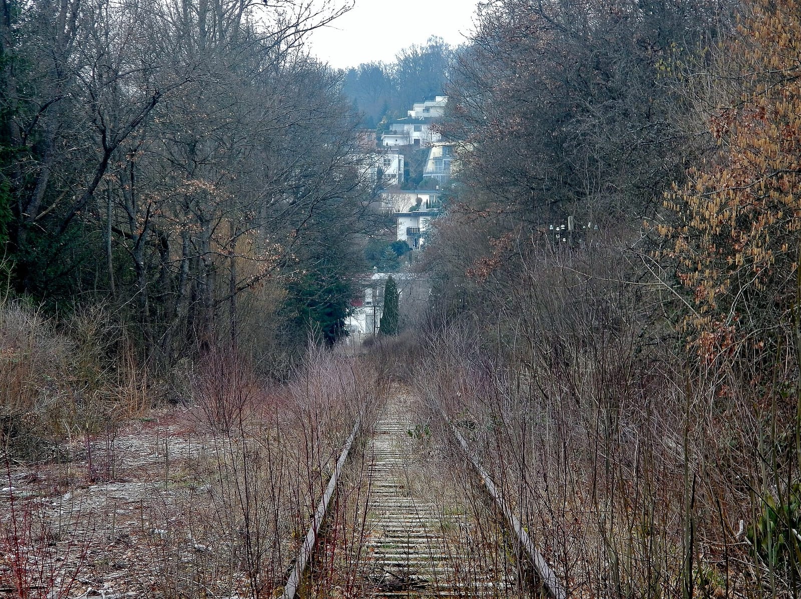 Drei Tannen photo 2