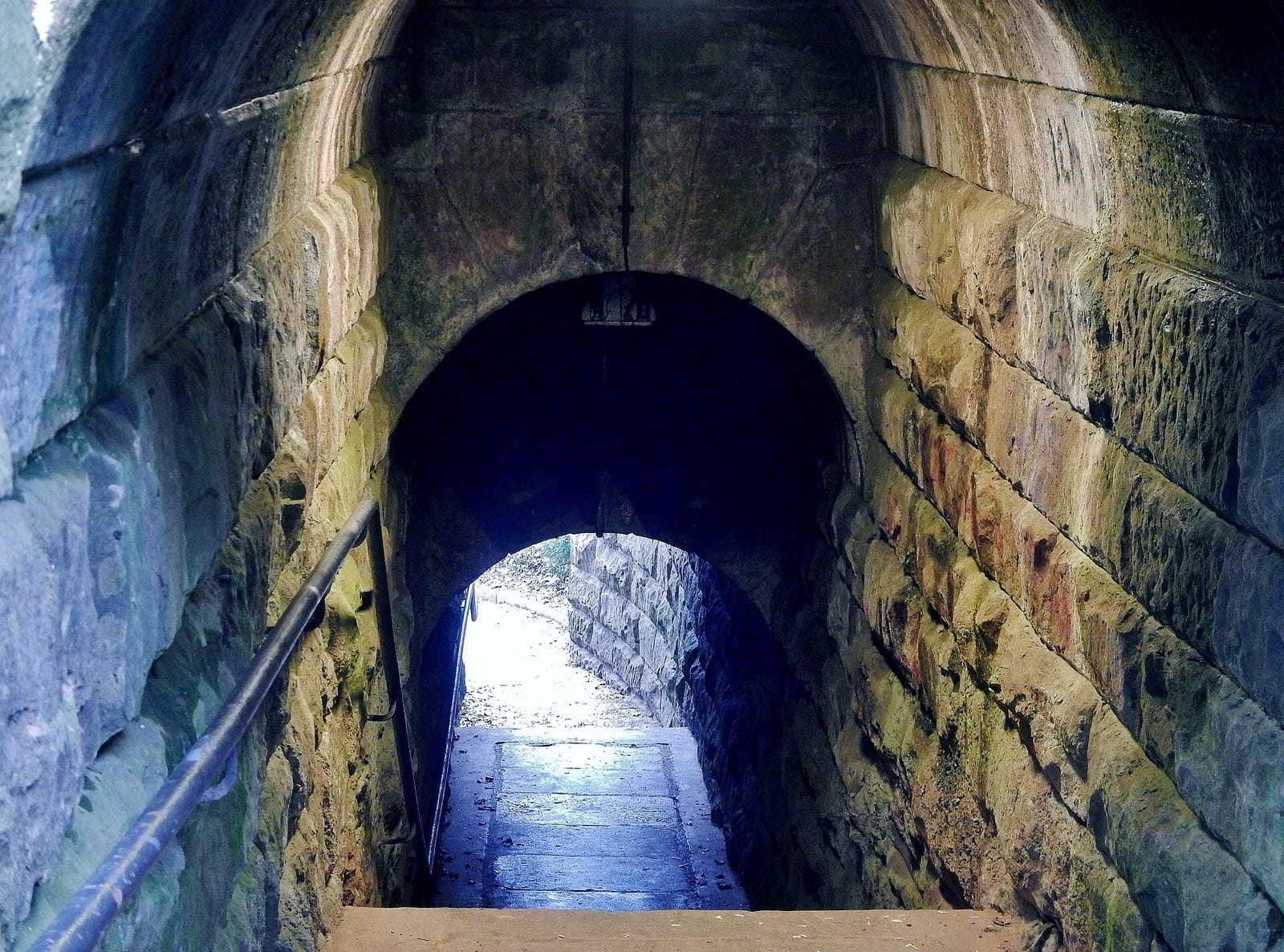 Drei Tannen photo 4
