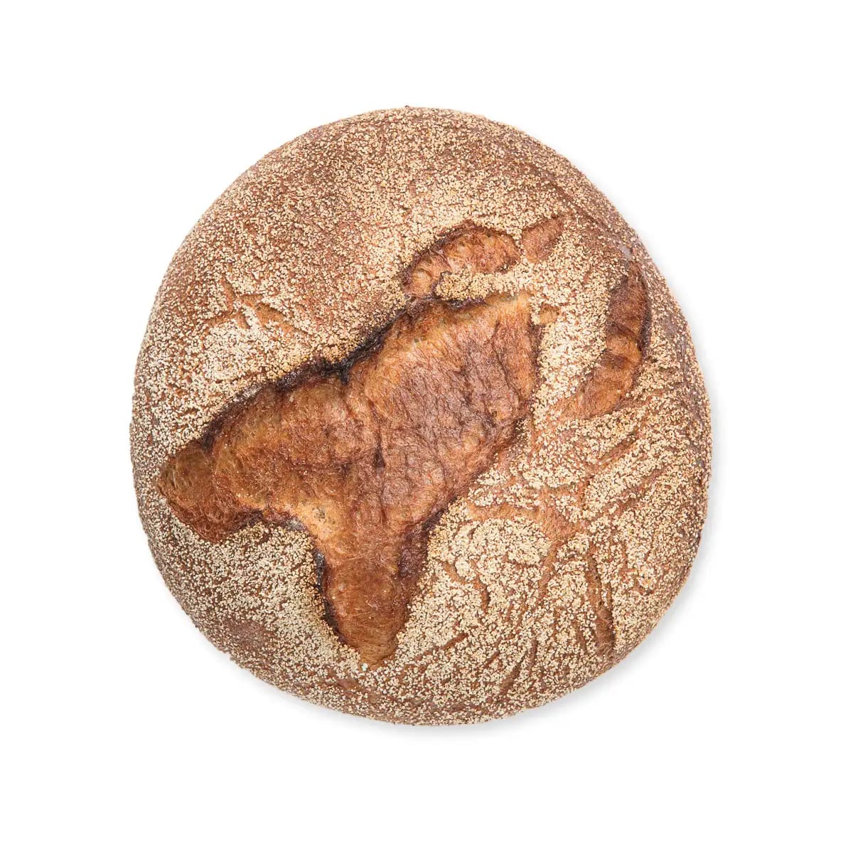Bäckerei Schmitz&Nittenwilm photo 2