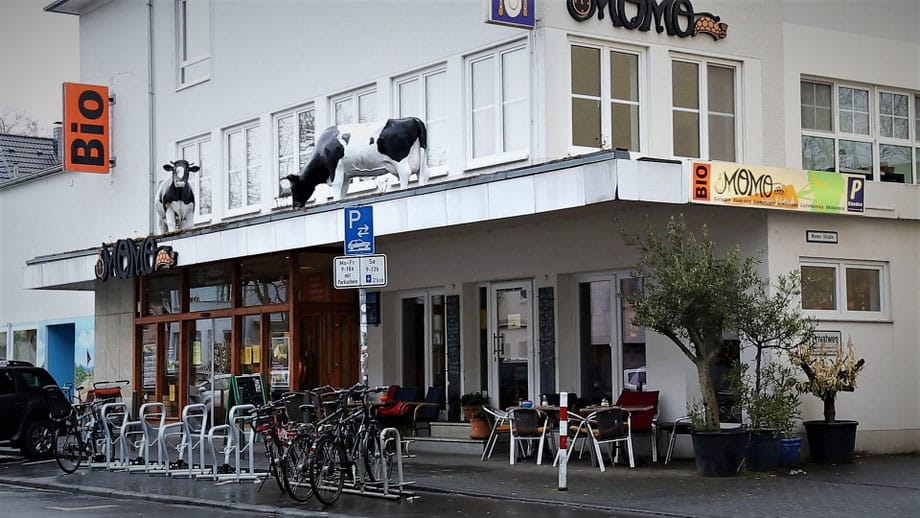 Bistro Odeon photo 2