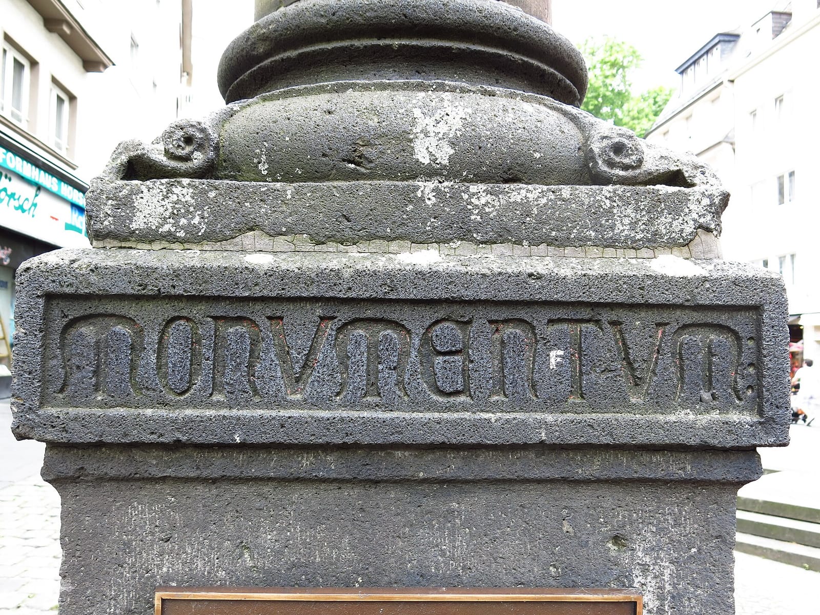 épi photo 5