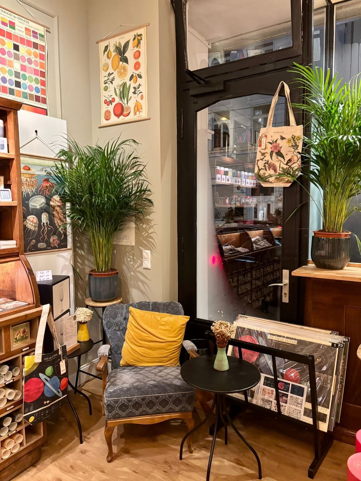 Kaufmannsladen Königswinter photo 4