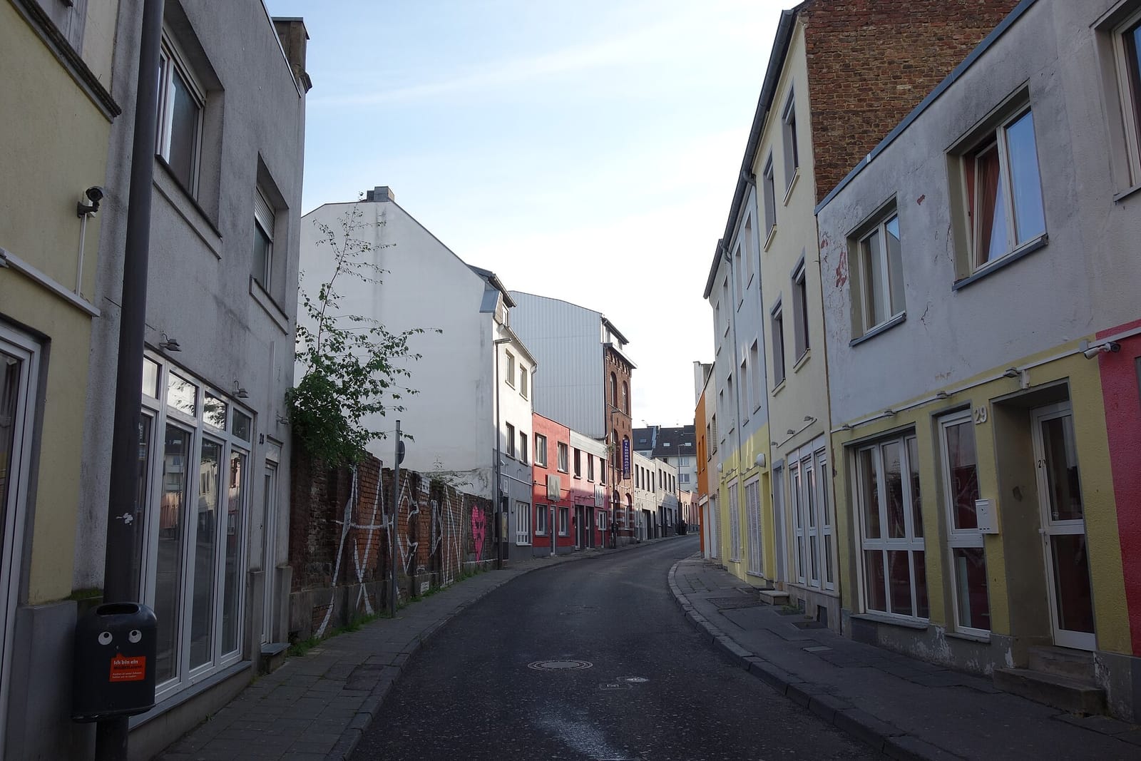 Mehlwölkchen photo 3