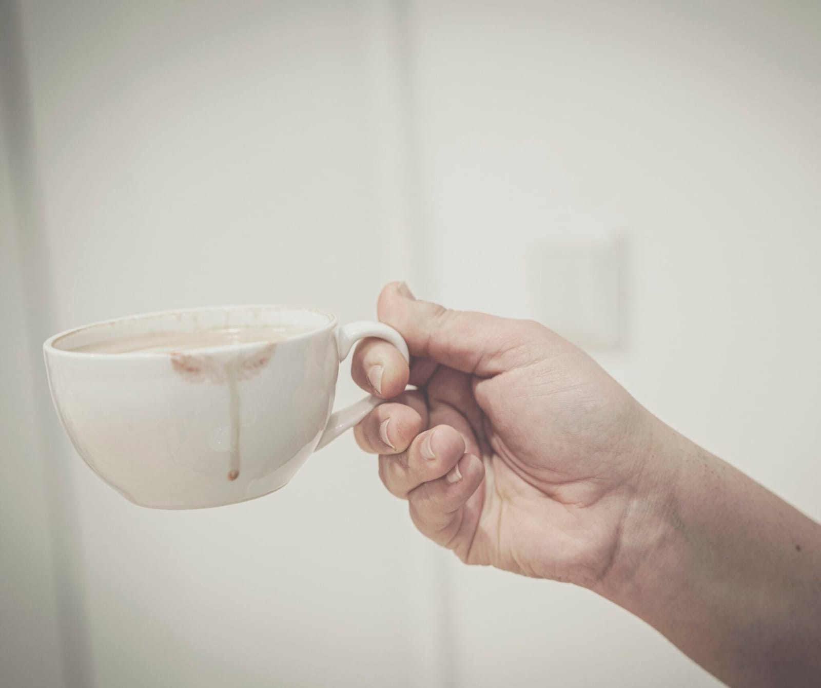 Cup Of Sun photo 7