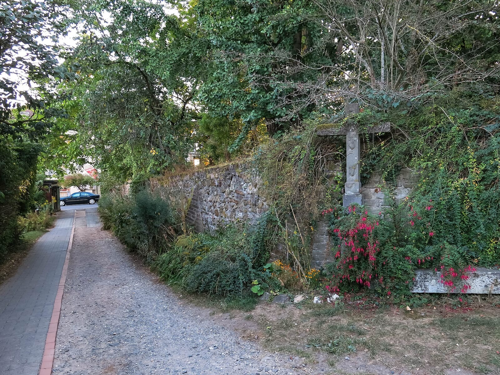 Café RepaRat photo 4