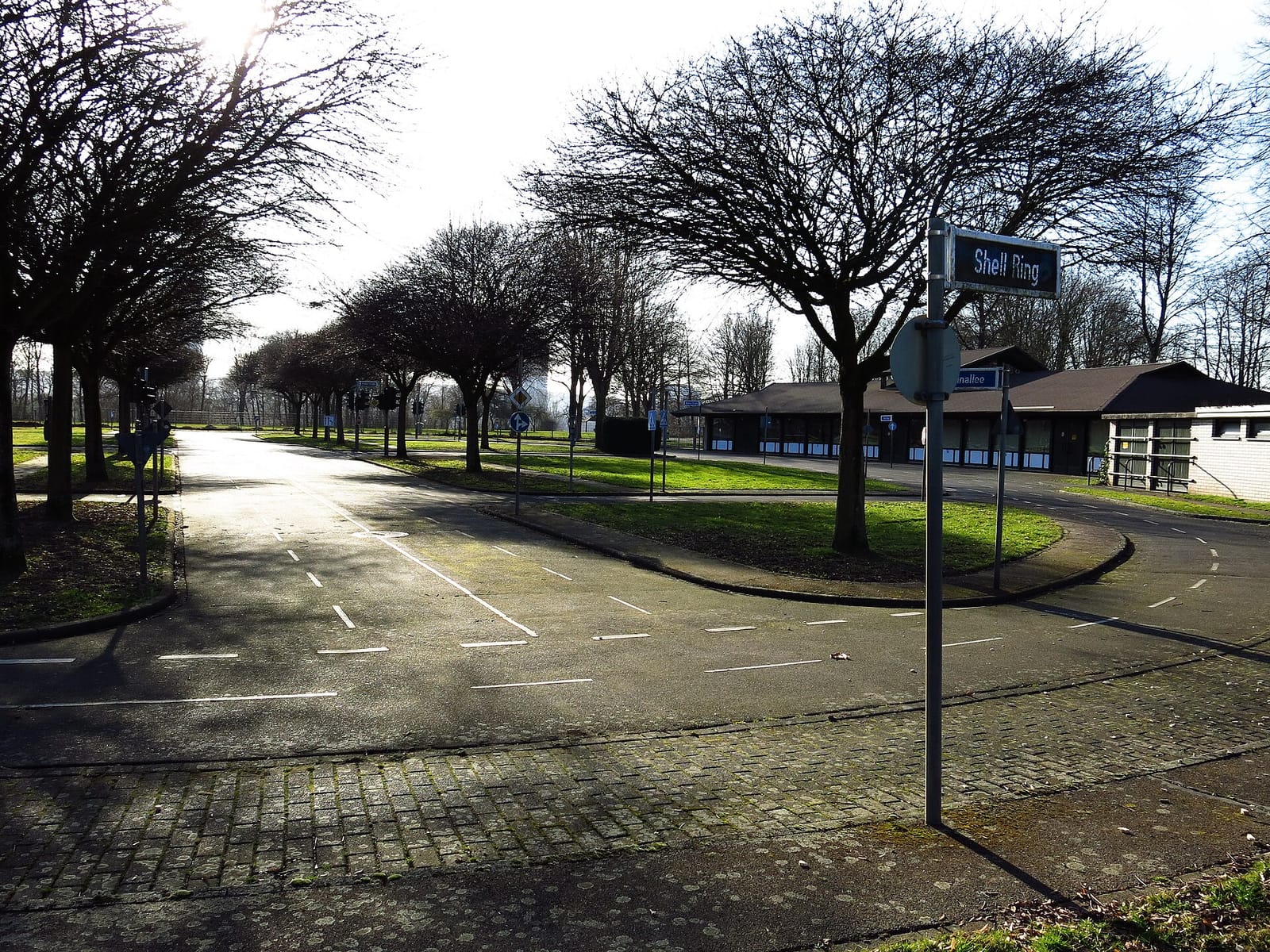 Café Skatepark Bonn photo 3