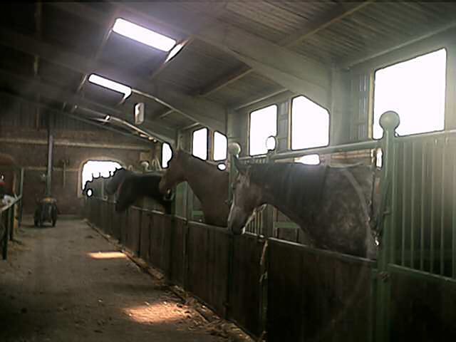 Fahrsport Birmanns photo 2