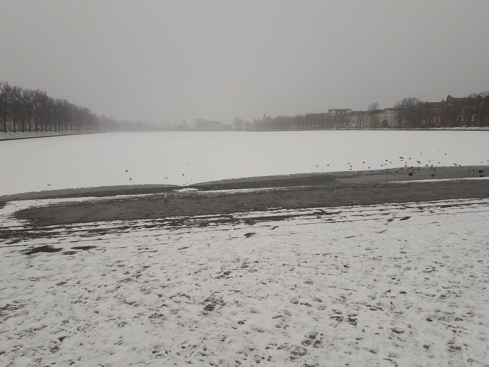Arsenalterrasse photo 3