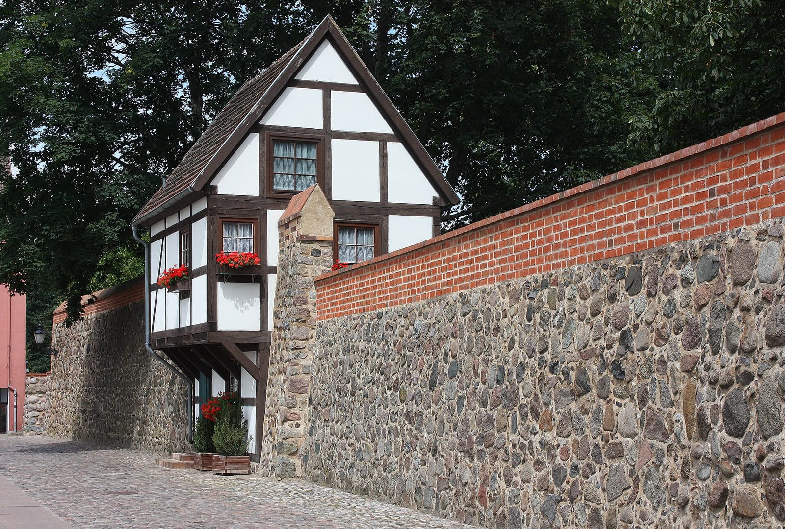 Café Neutor