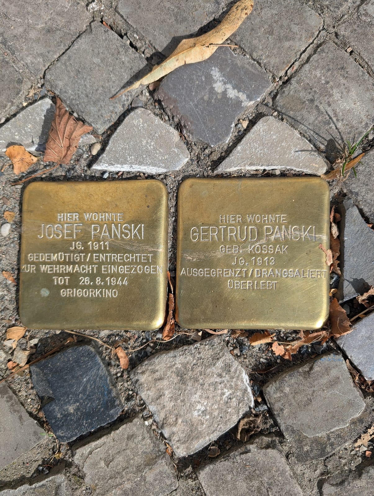 Bistro Zur Muschel photo 4