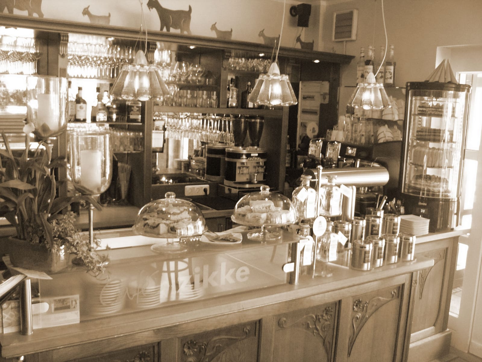 Café Zikke photo 7