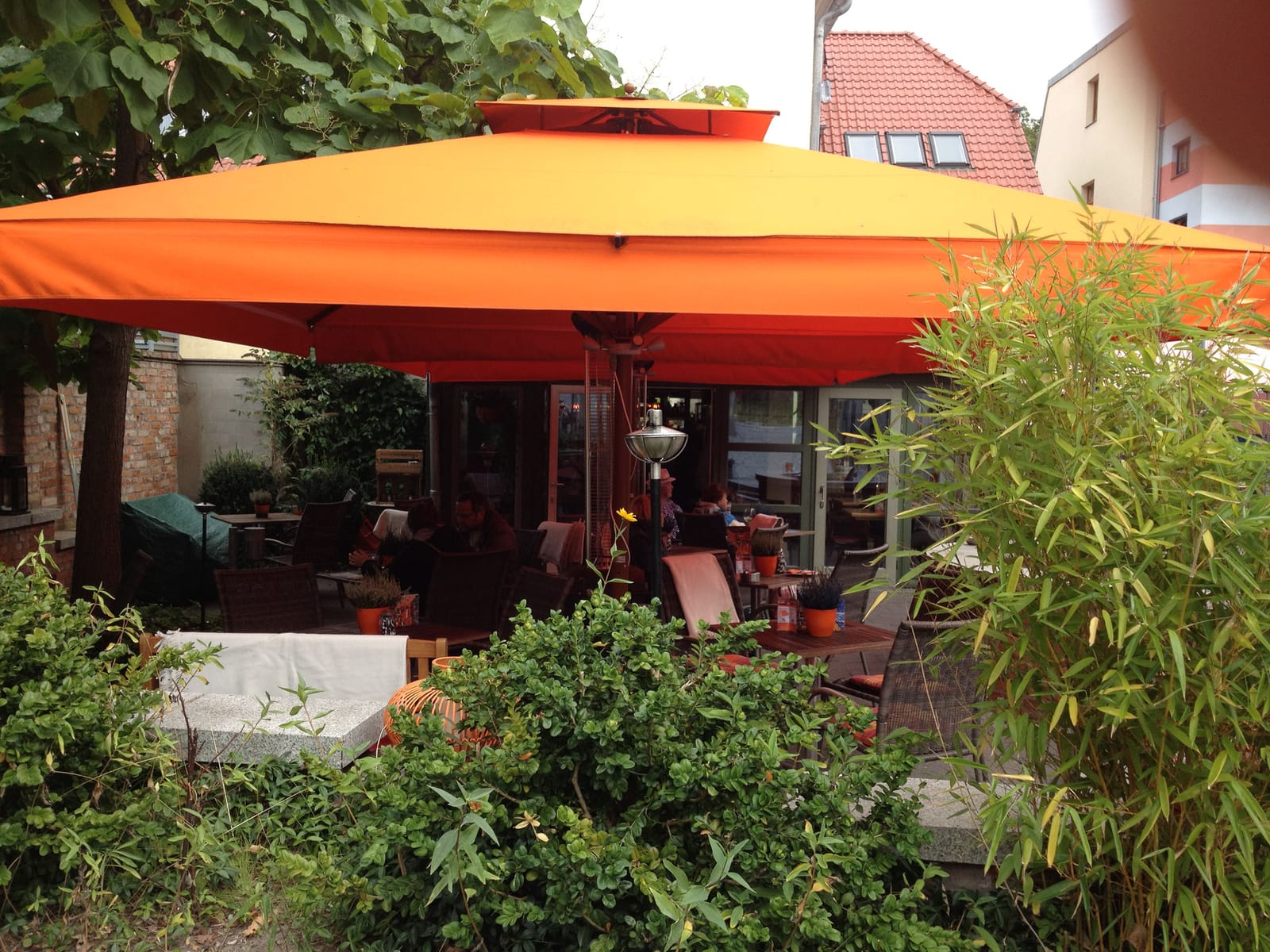 Café Zikke photo 3