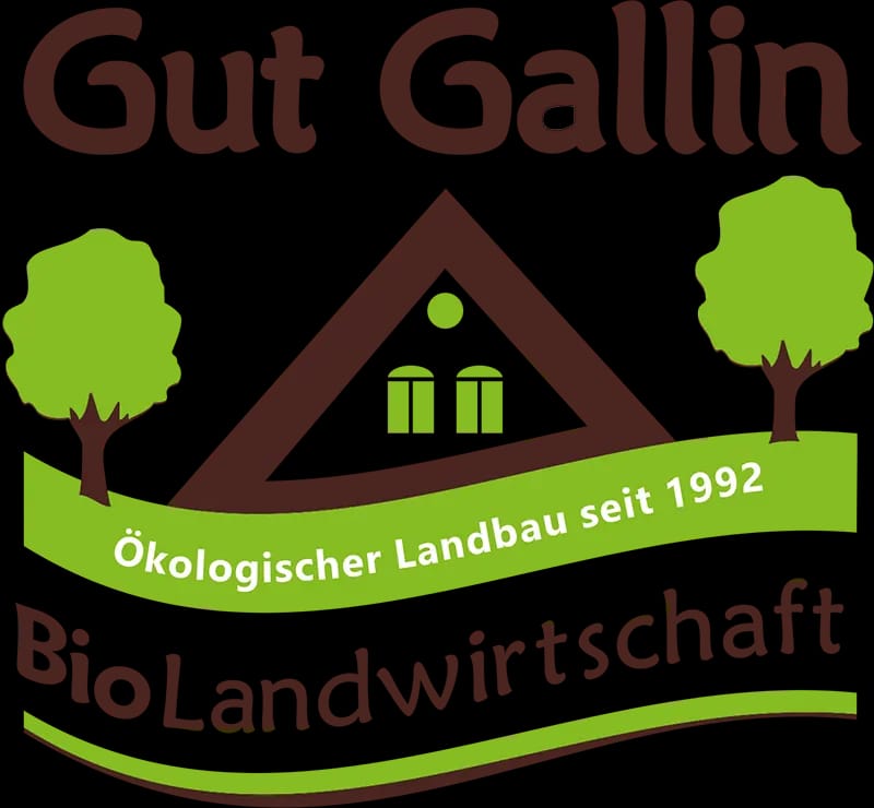 Gut Gallin