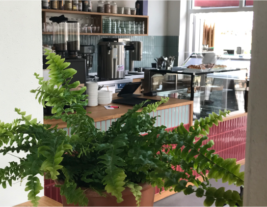 Café Central photo 2