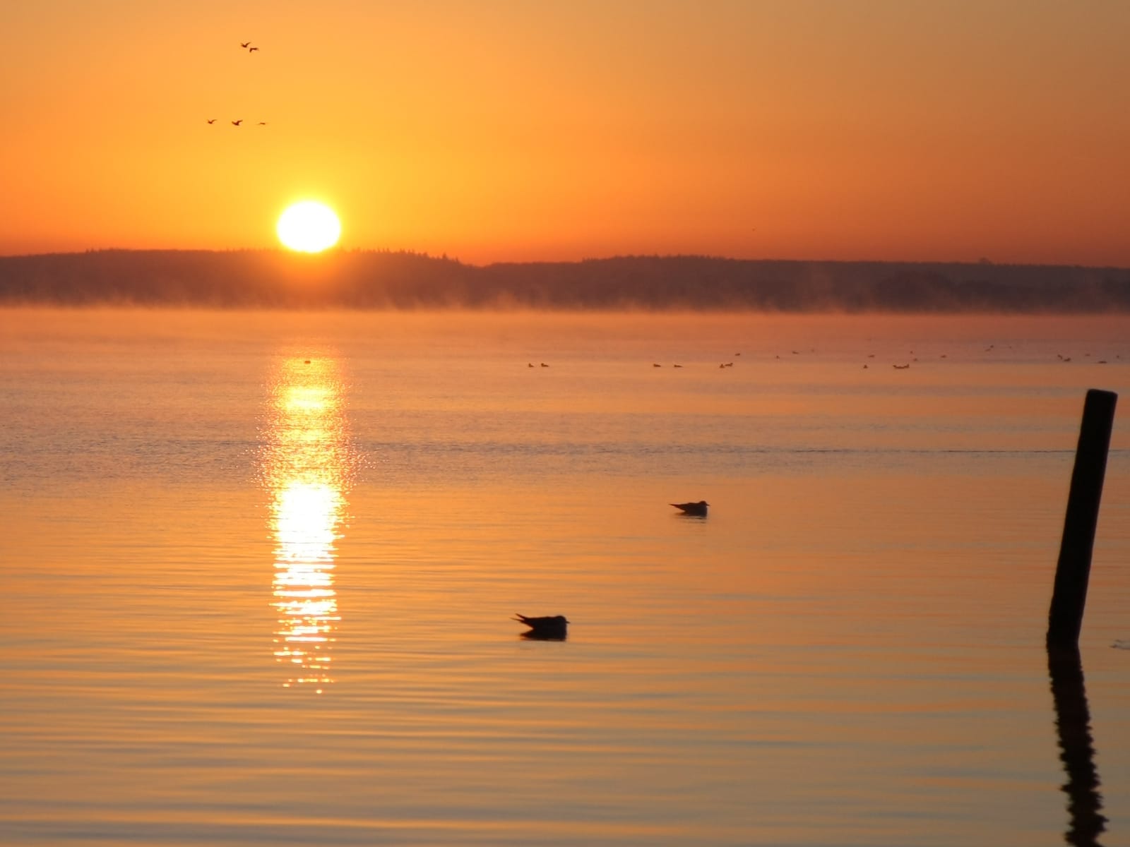 Anker Zwei photo 3