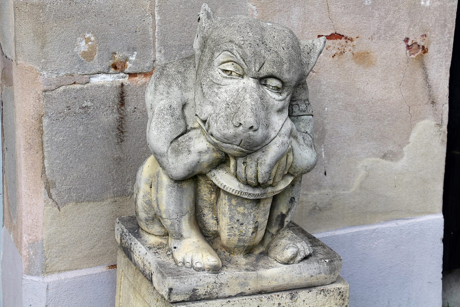Stubenhocker photo 4