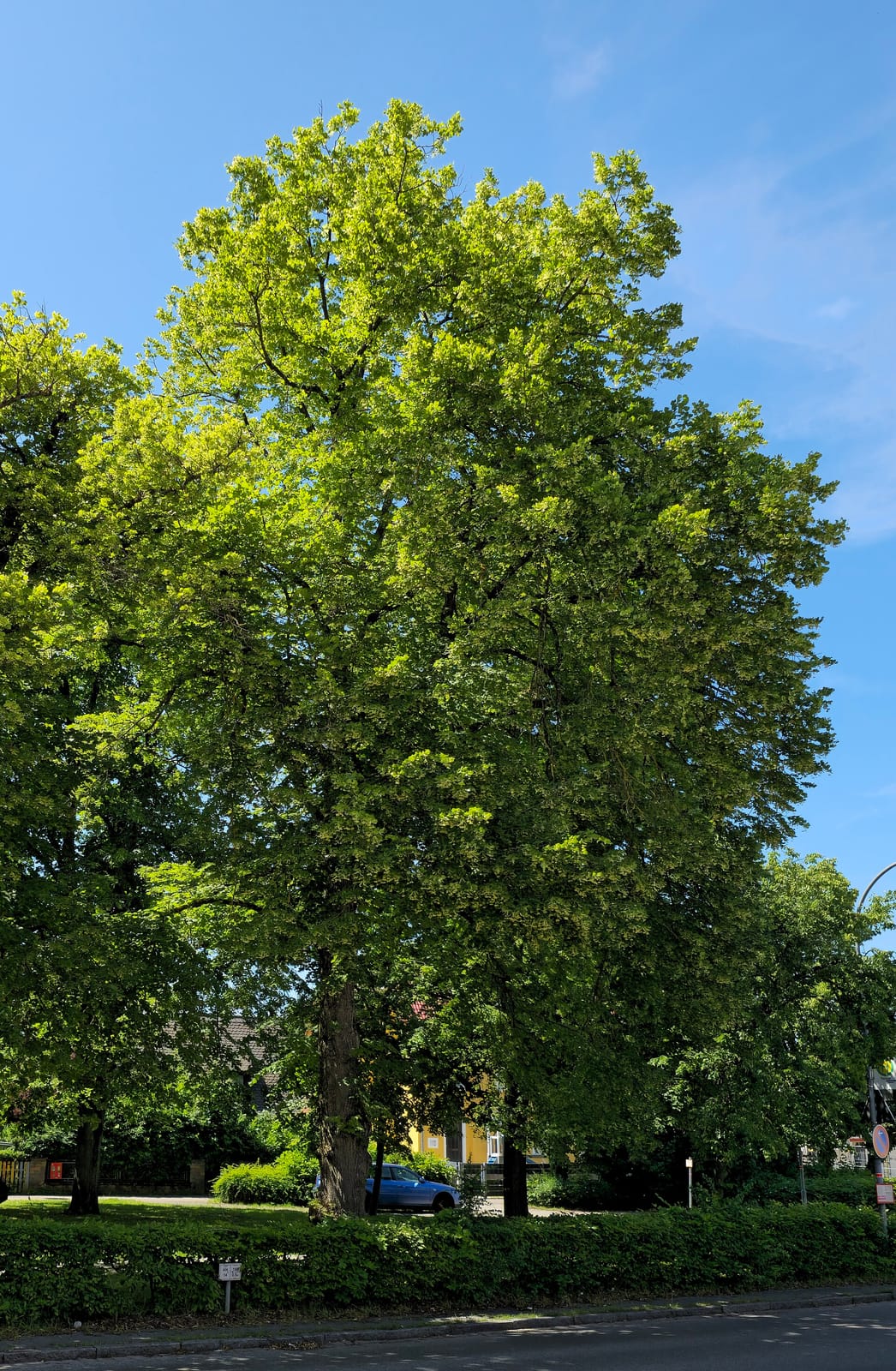 Bürgertreff