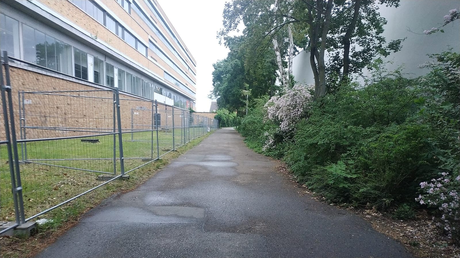 BrotHaus photo 4
