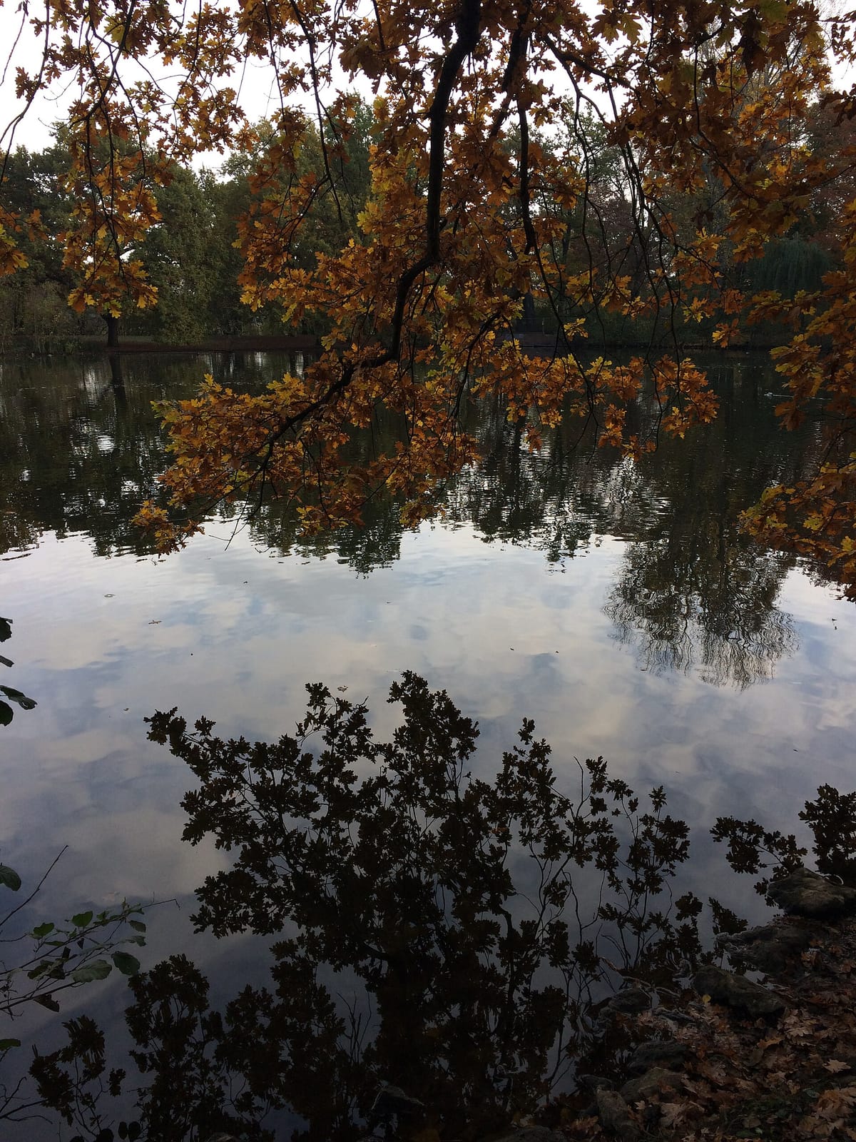 Stadtparkcafe photo 5