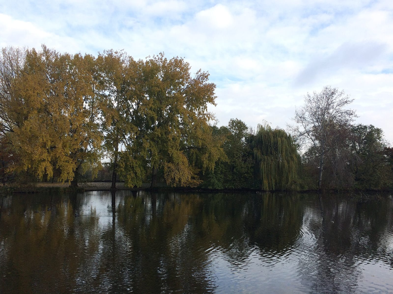 Stadtparkcafe photo 2