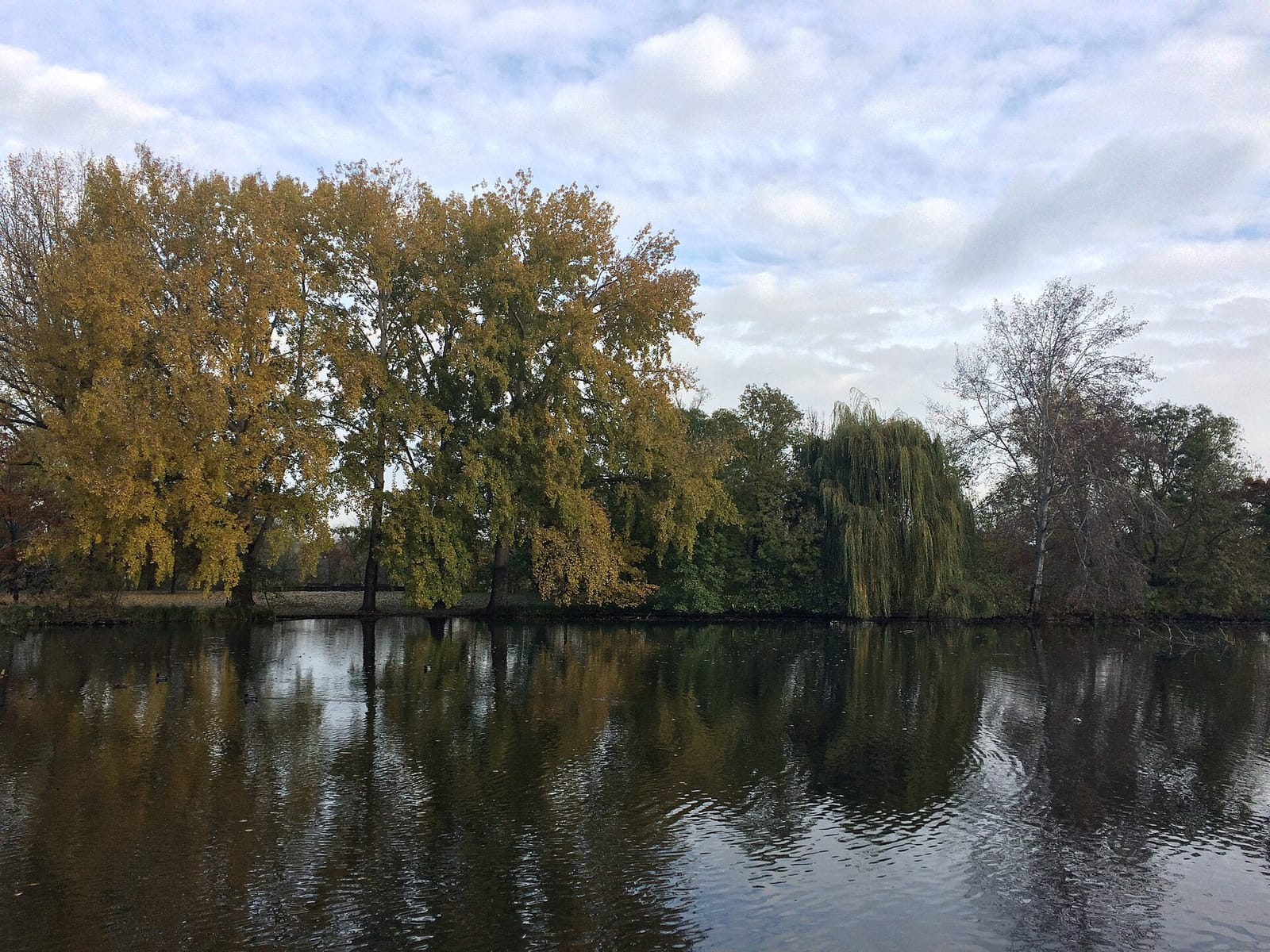 Stadtparkcafe photo 3