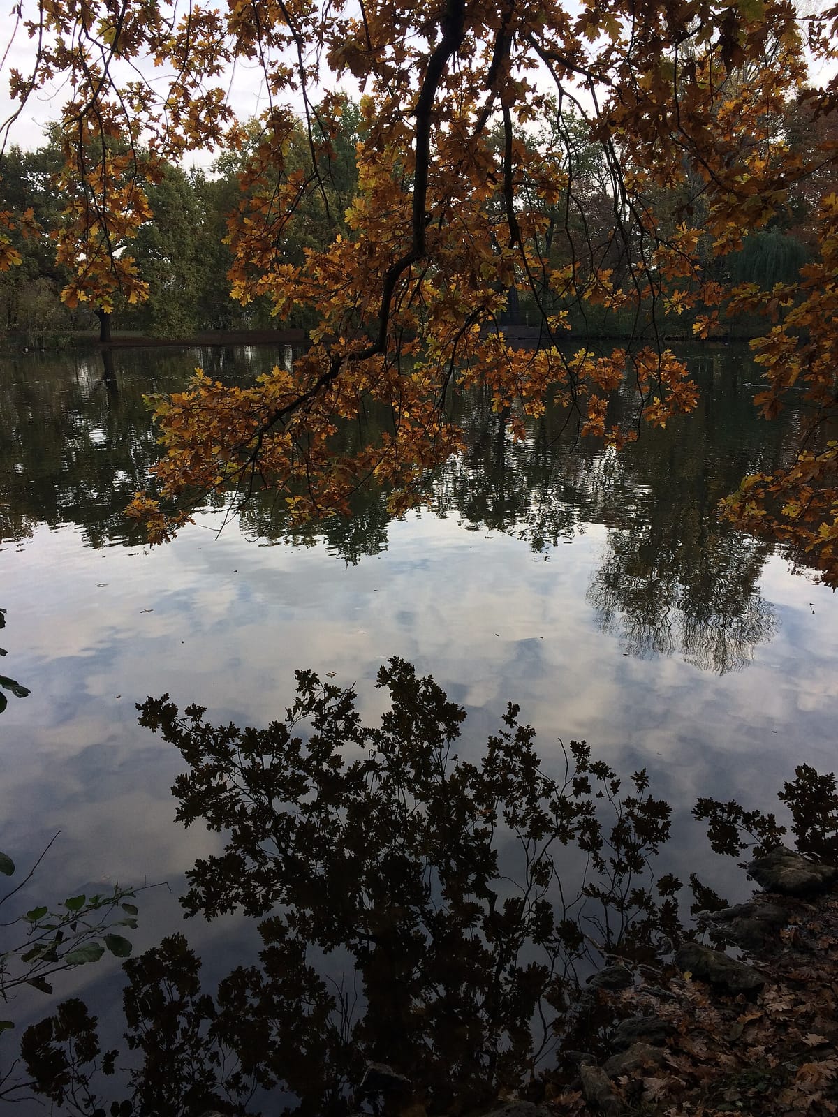Stadtparkcafe photo 4
