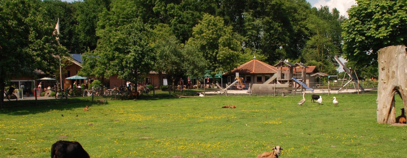 Drönings Landcafé photo 2