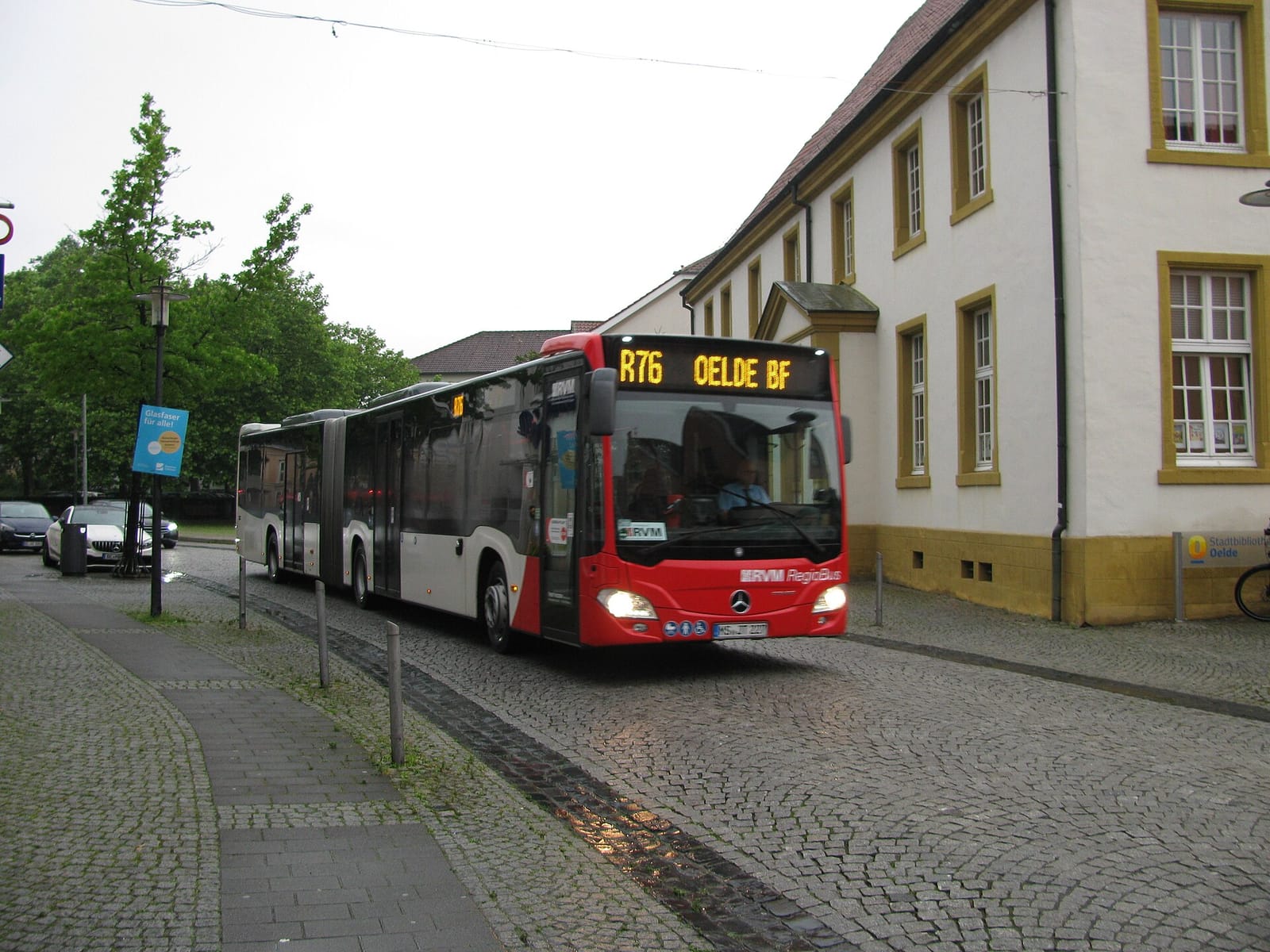 Stutenbäumer