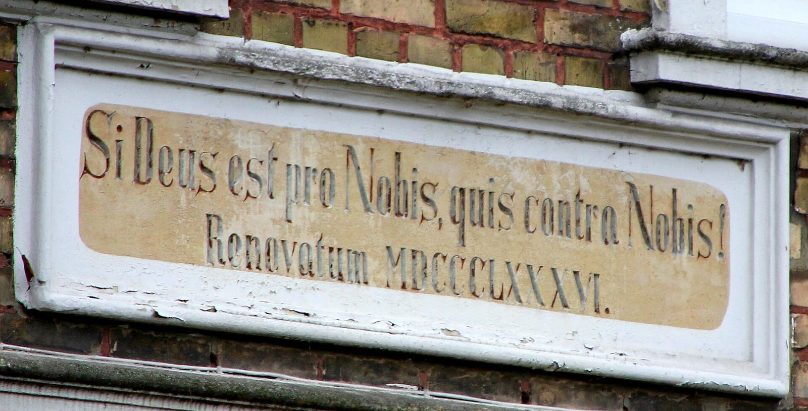 Café Nobis photo 4
