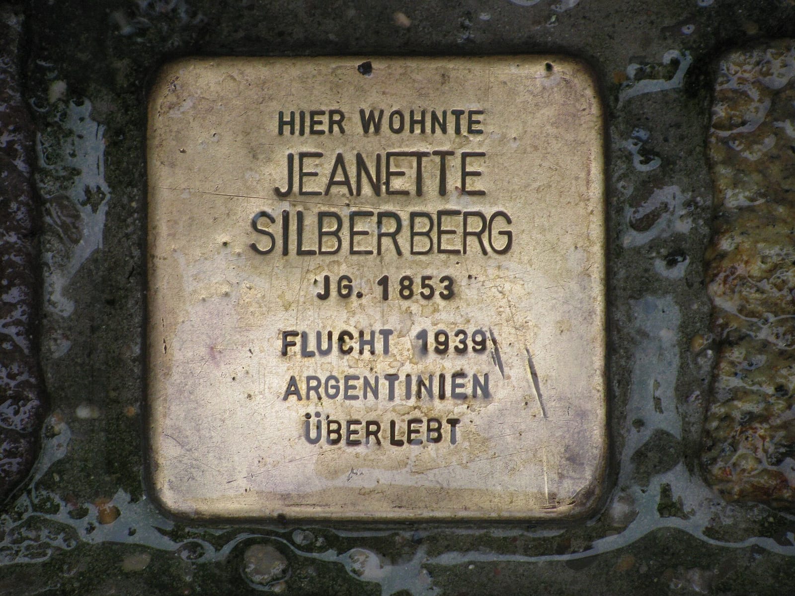 Terholsen photo 3