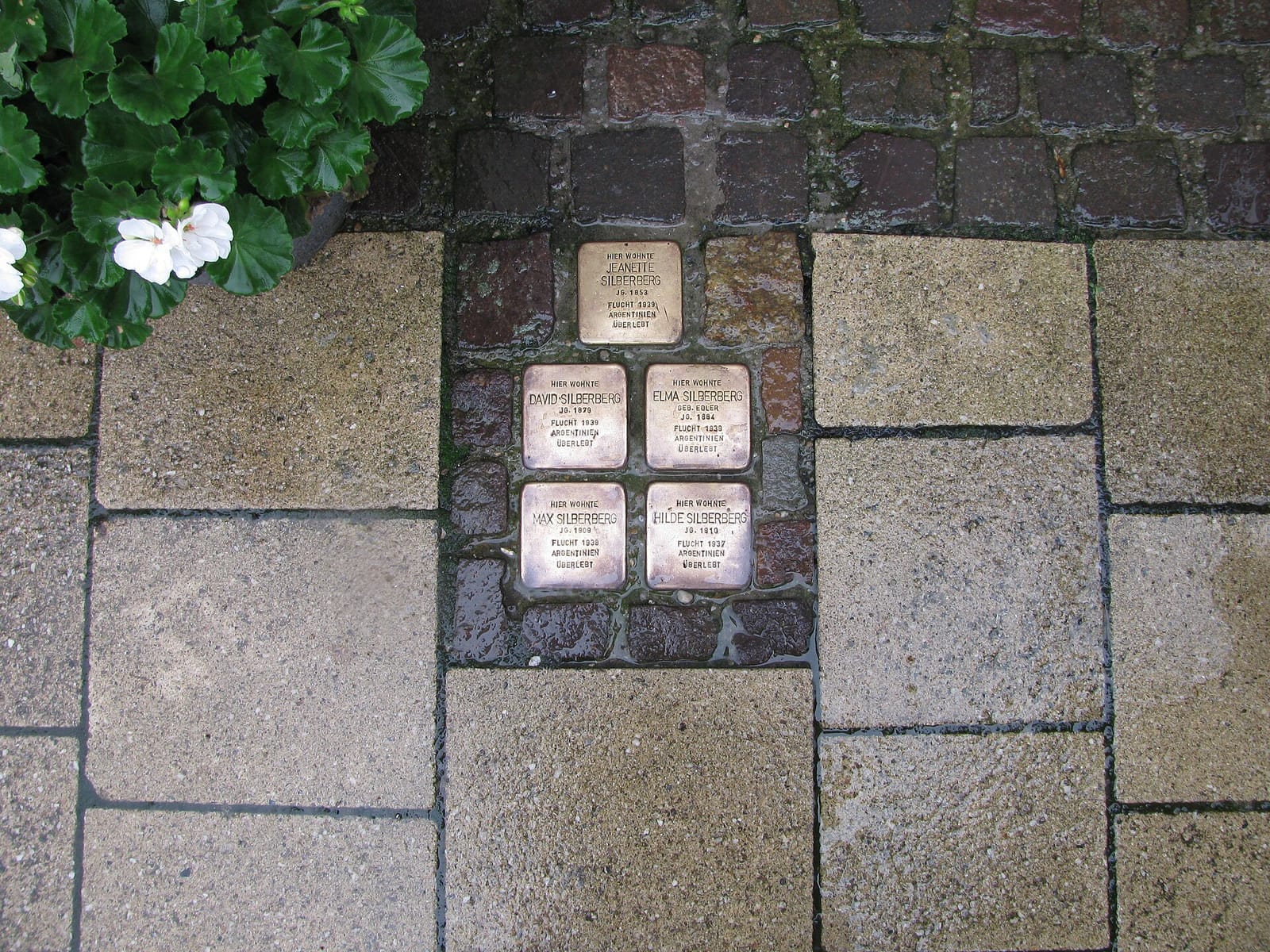 Terholsen photo 2