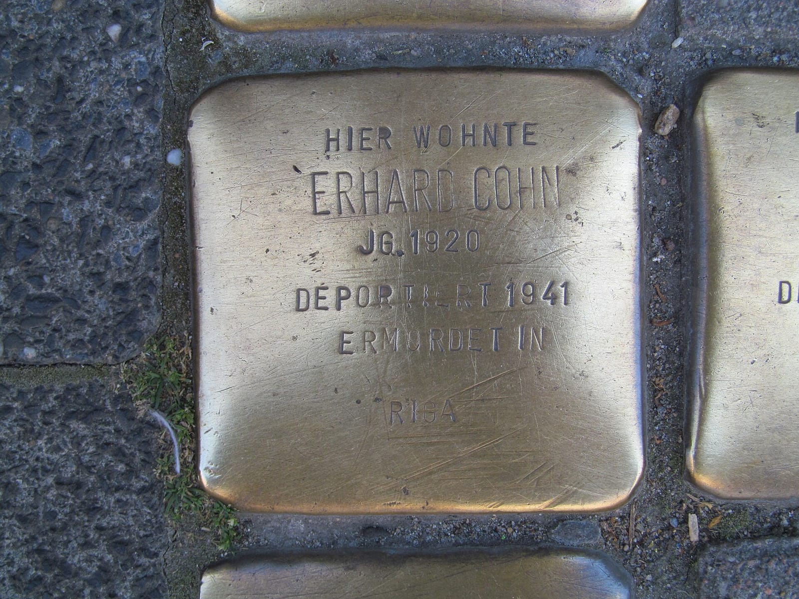 Café Hansahof photo 3