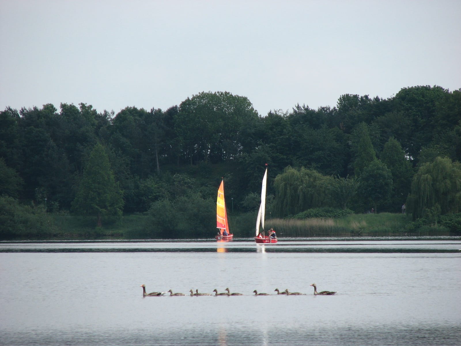 R-Café Bocholt photo 3