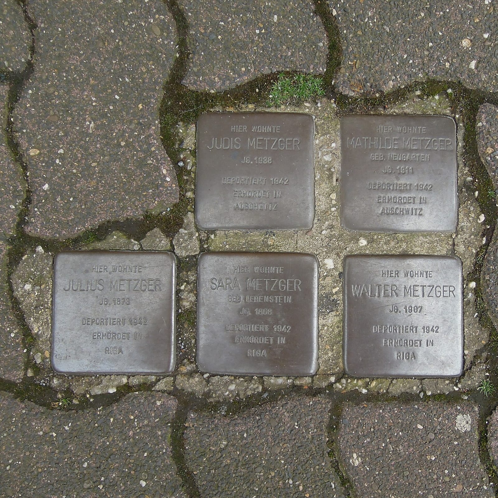 Das Kaffeekännchen photo 5