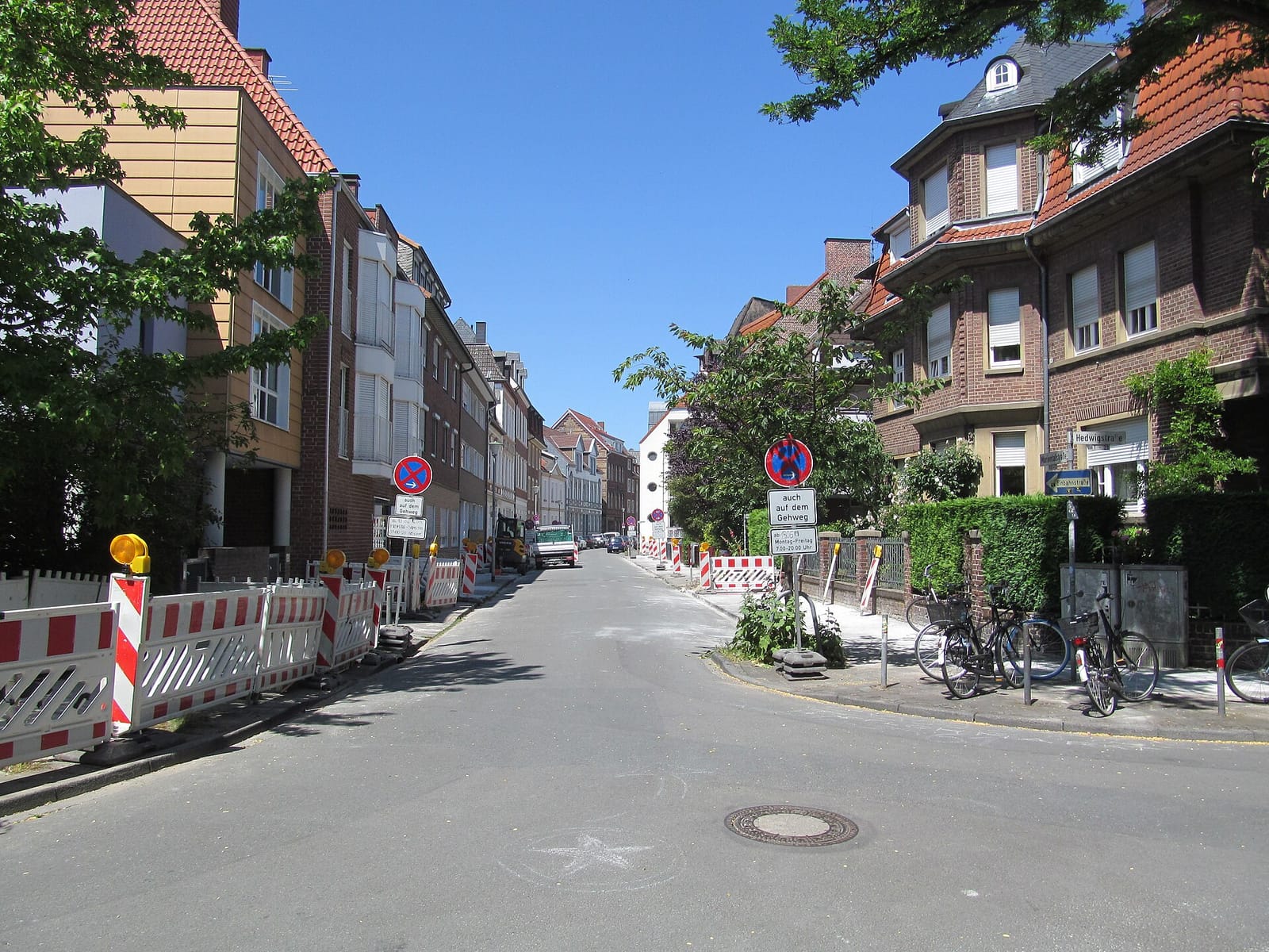 Mutter Birken photo 4