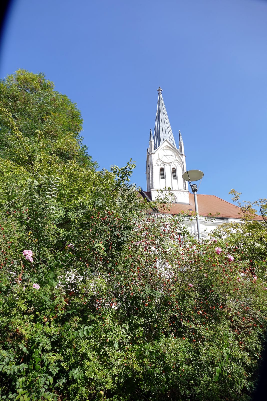 Schöffberger photo 2