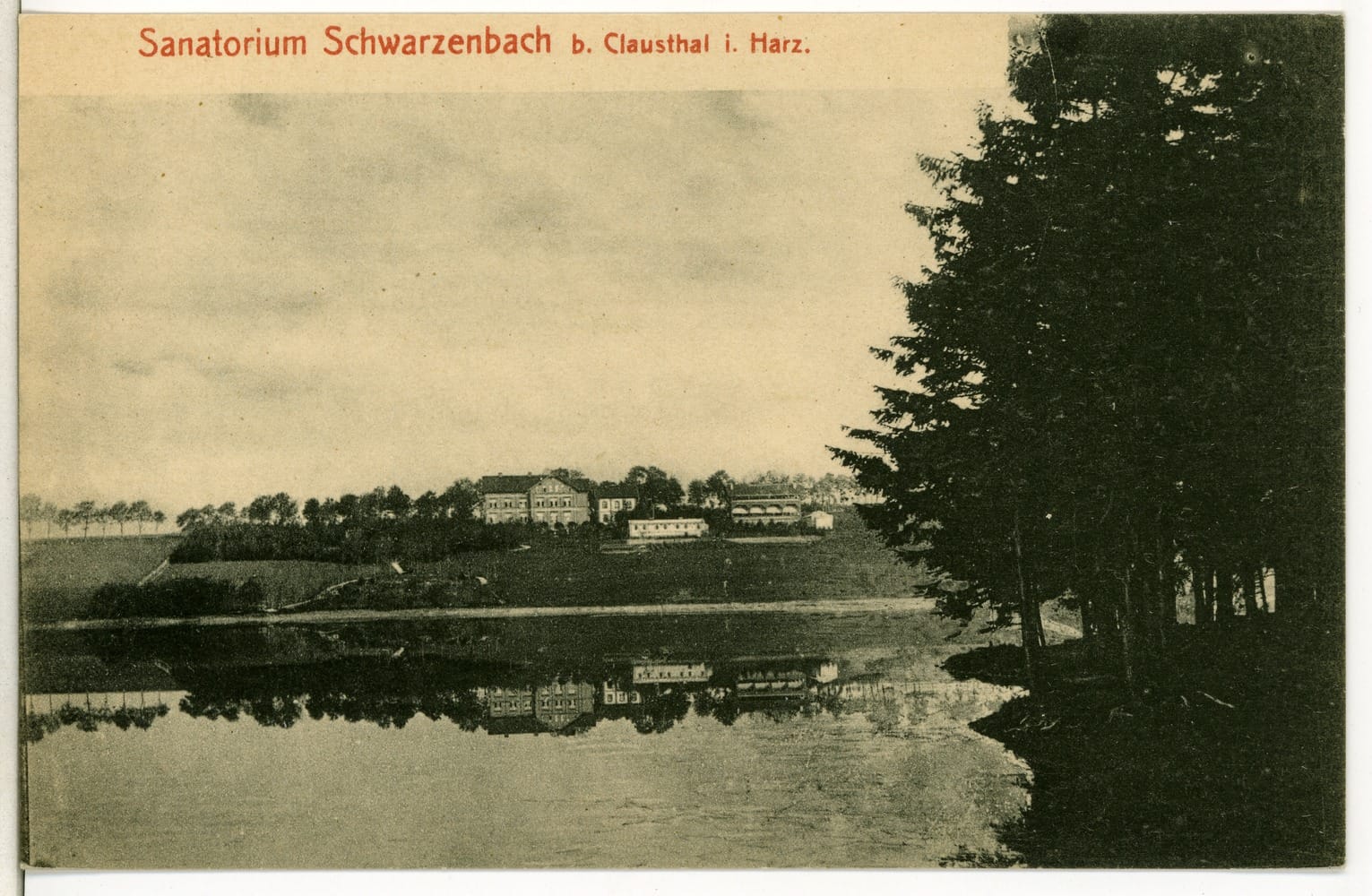 Anno Tobak photo 4