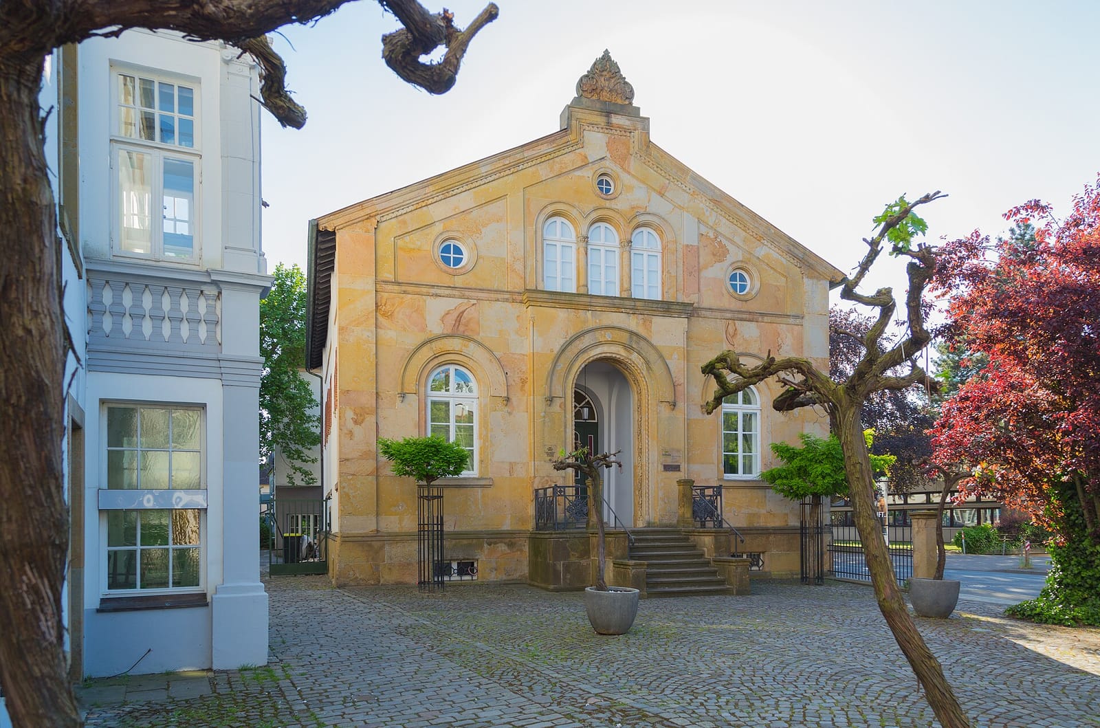 Zinnober photo 3