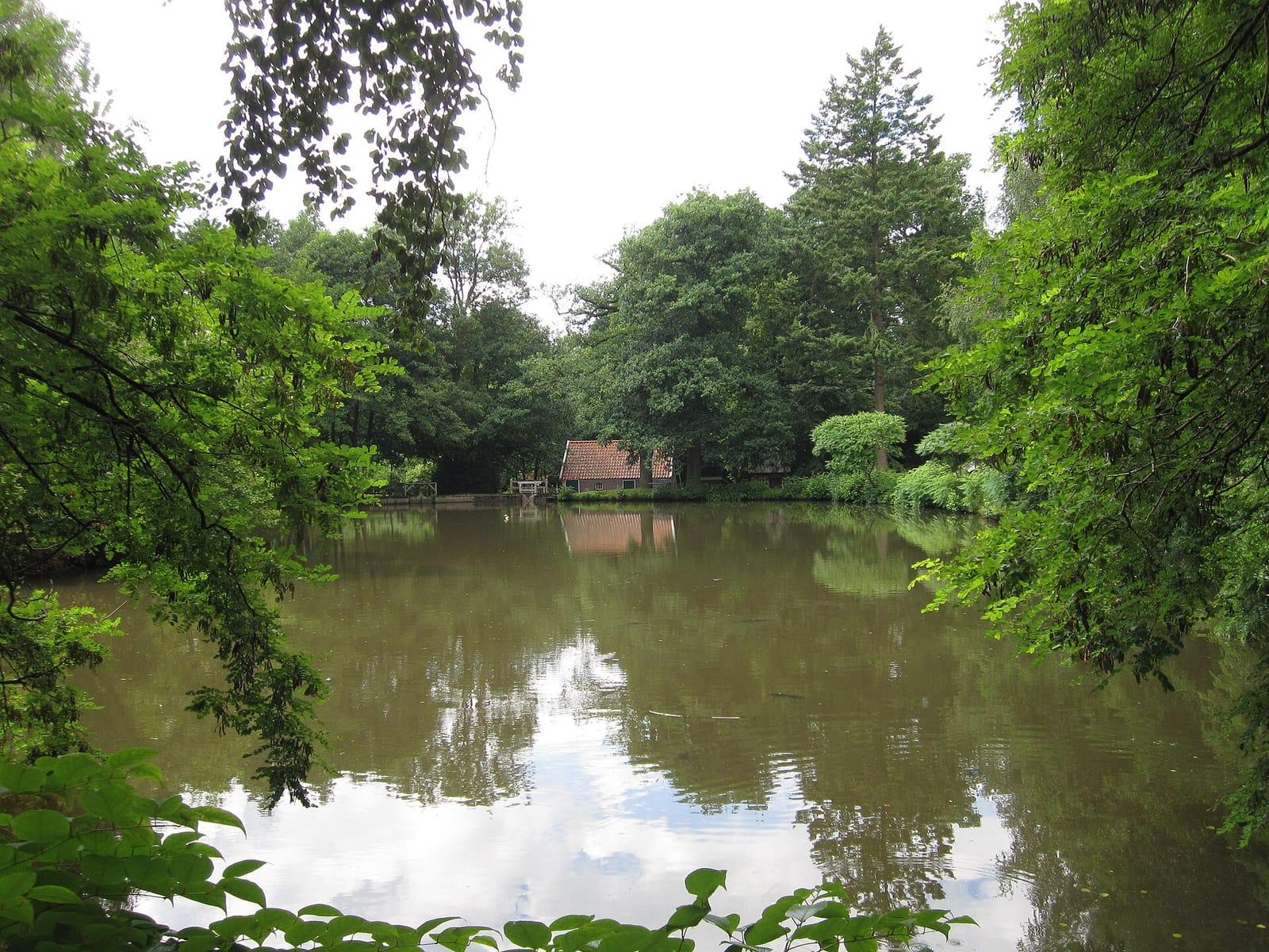 Café Am Mühlenteich photo 2