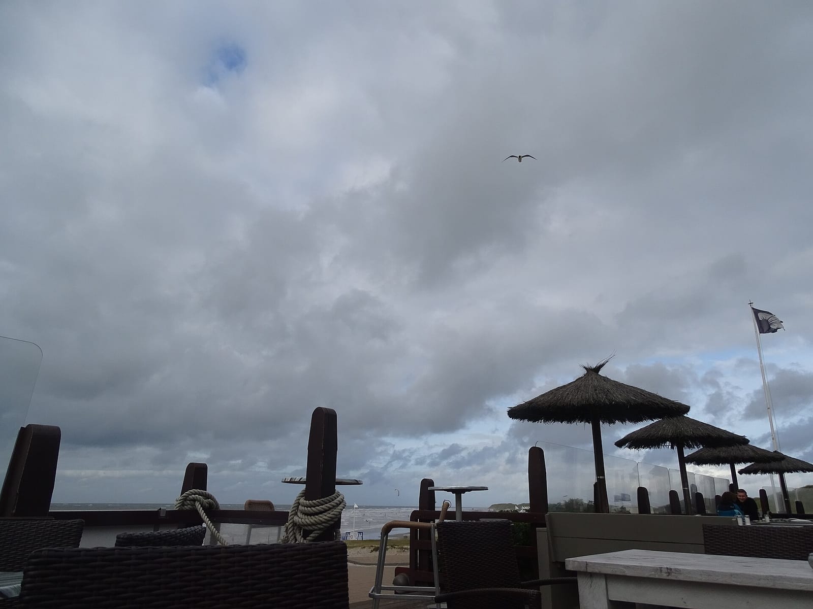 SurfCafe