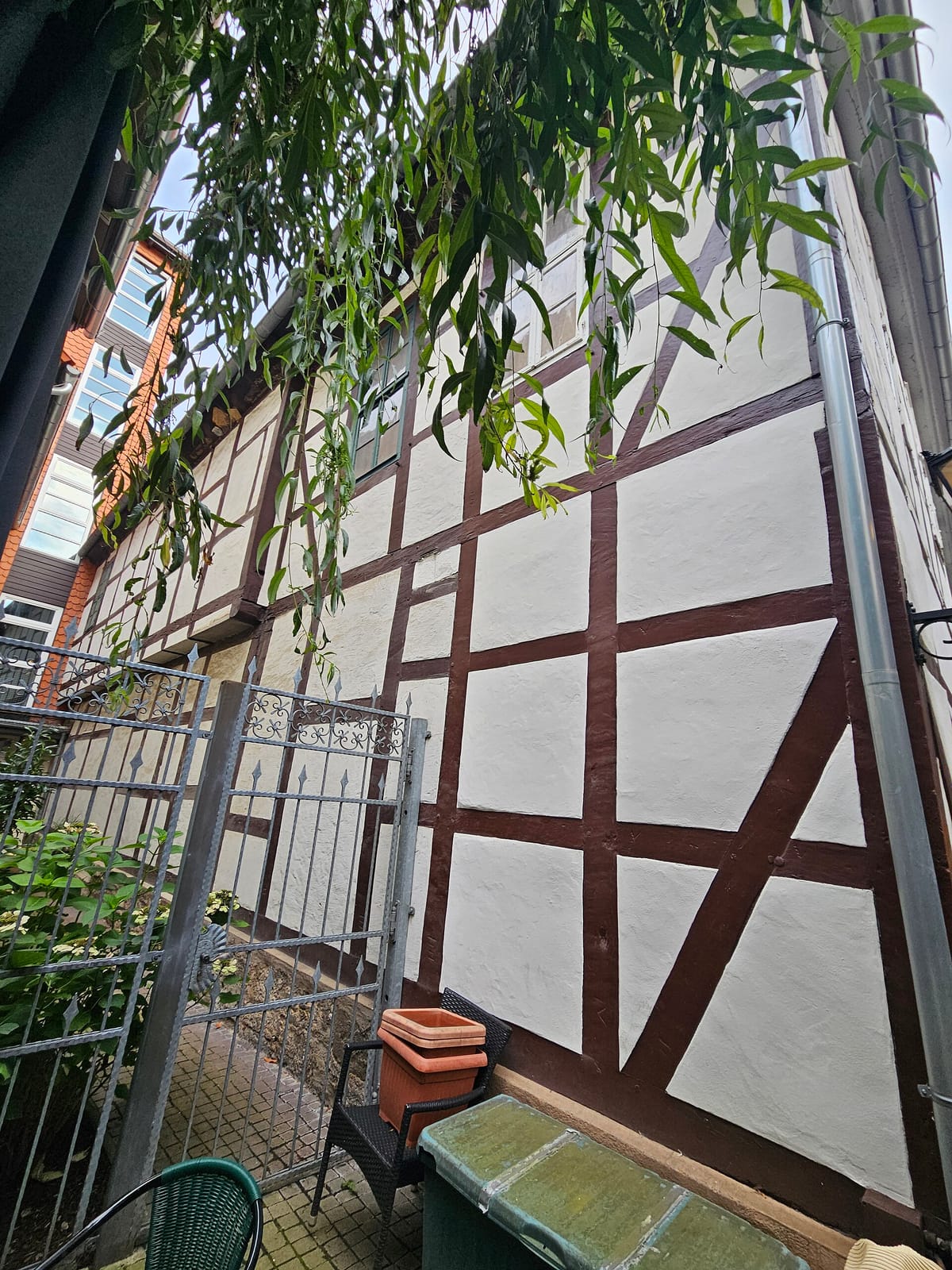 Café Gartenlaube photo 5