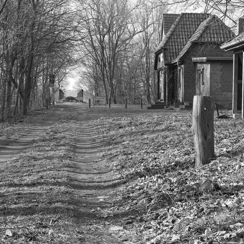 Café Schwarzes Schaf photo 2
