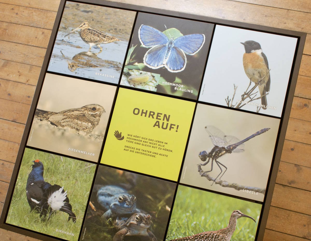 Teestube beim Moor- und Fehnmuseum Elisabethfehn
