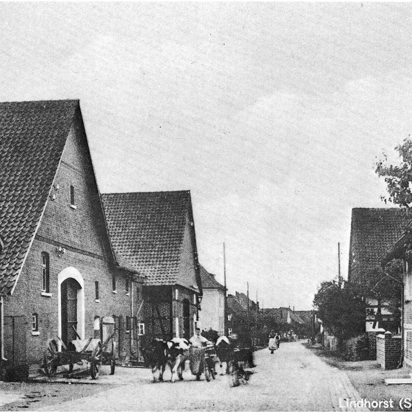Hof-Café „Zum Pferdestall“ photo 3